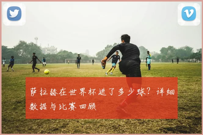 萨拉赫在世界杯进了多少球？详细数据与比赛回顾