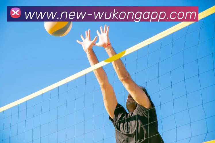 悟空体育平台生态图