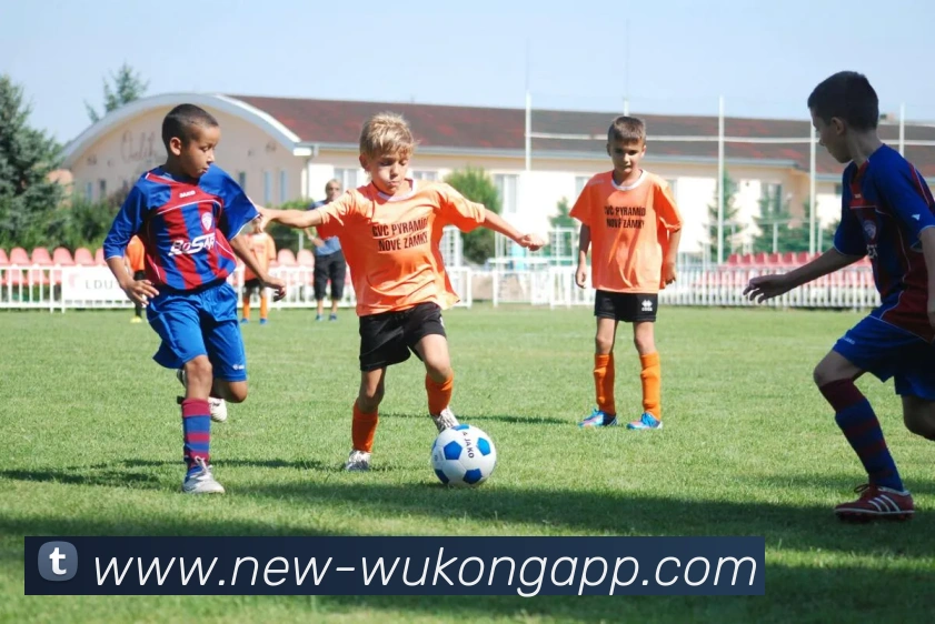 悟空体育APP 封面图